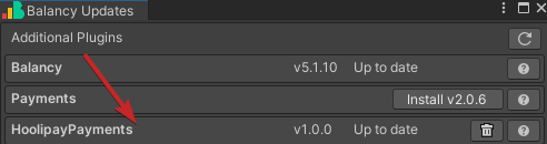 Hoolipay settings